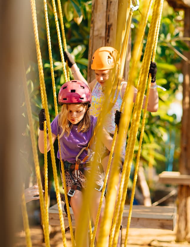 custom img 12 copyright