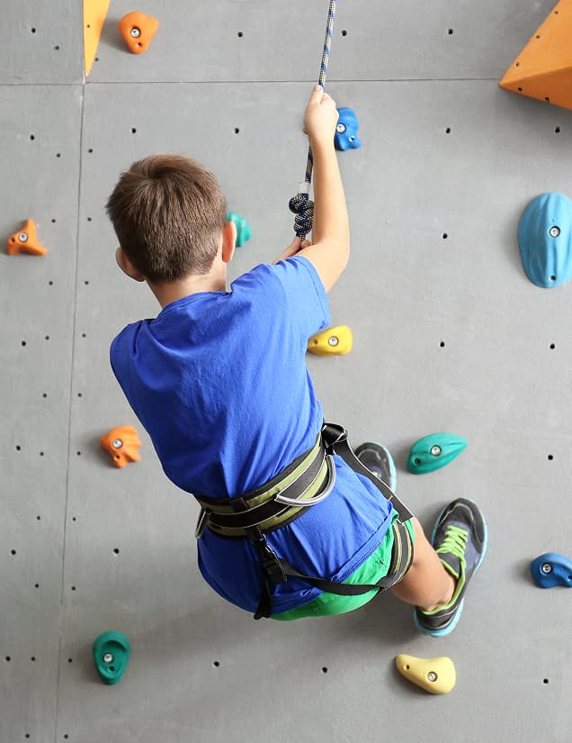 custom img 13 copyright